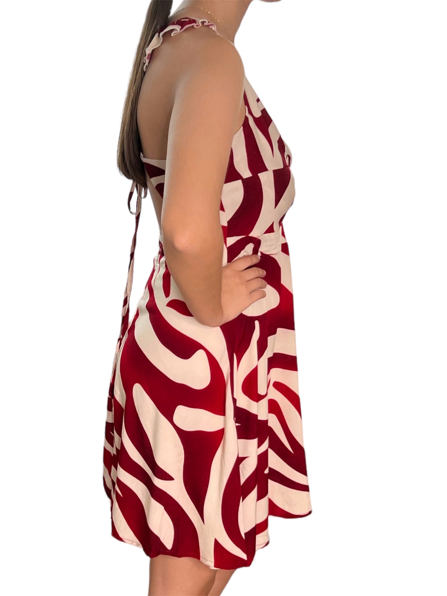 Zebra Mini Dress