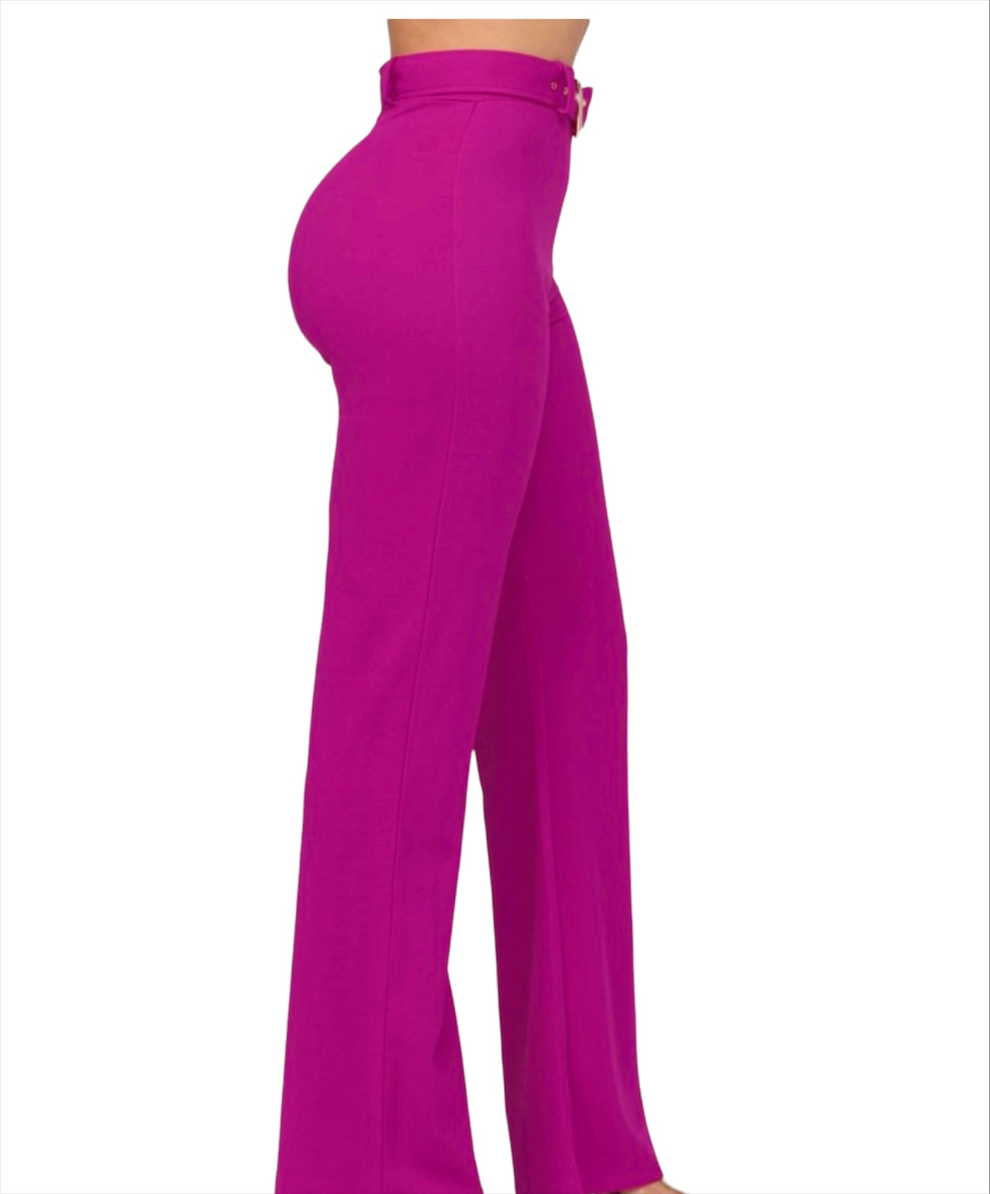 High Waisted Fucsia Pant